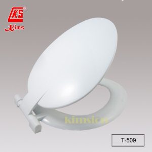 T-509  KS 廁版